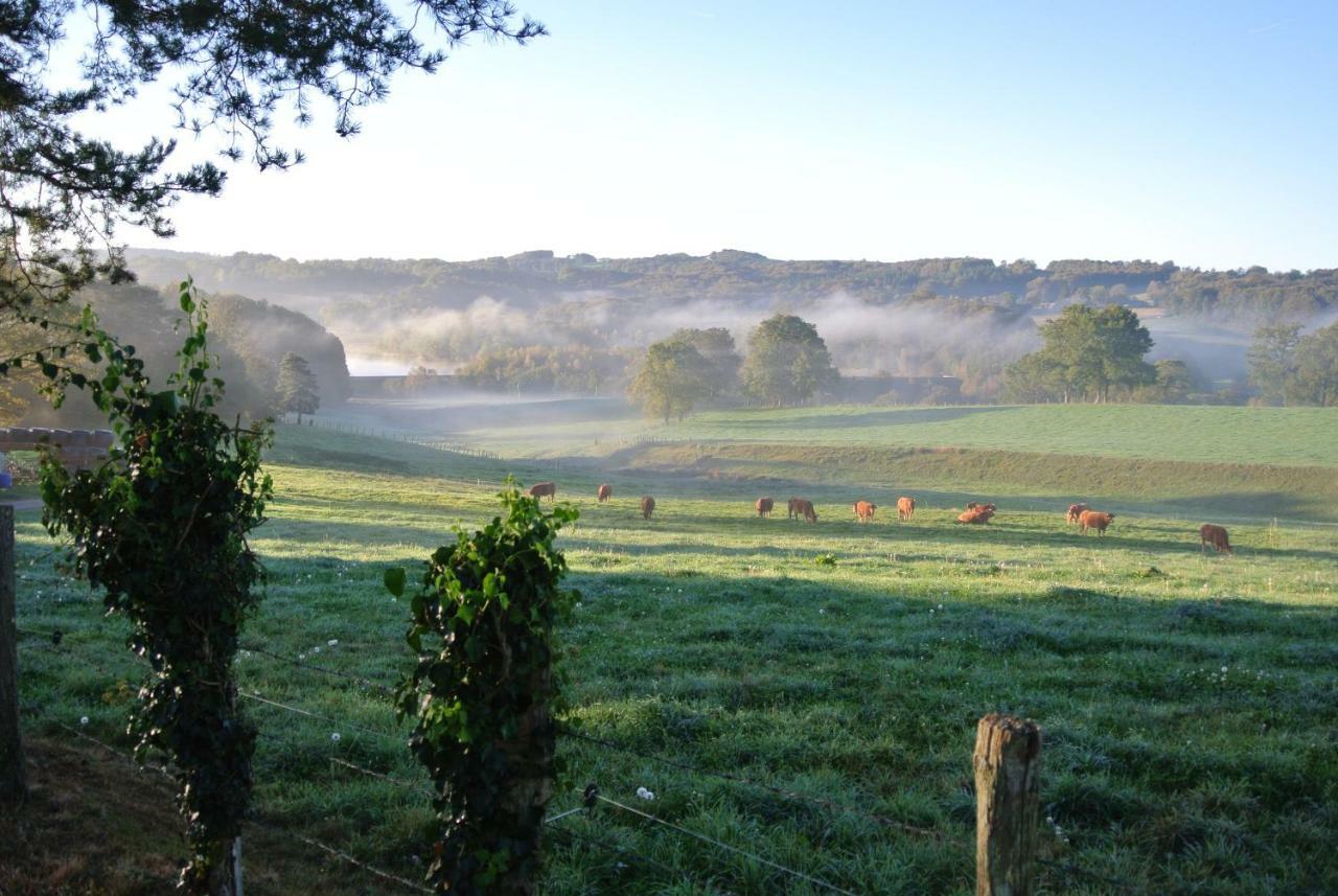 Bed and Breakfast Domaine Les Teuilleres Lacam-dʼOurcet Exterior foto