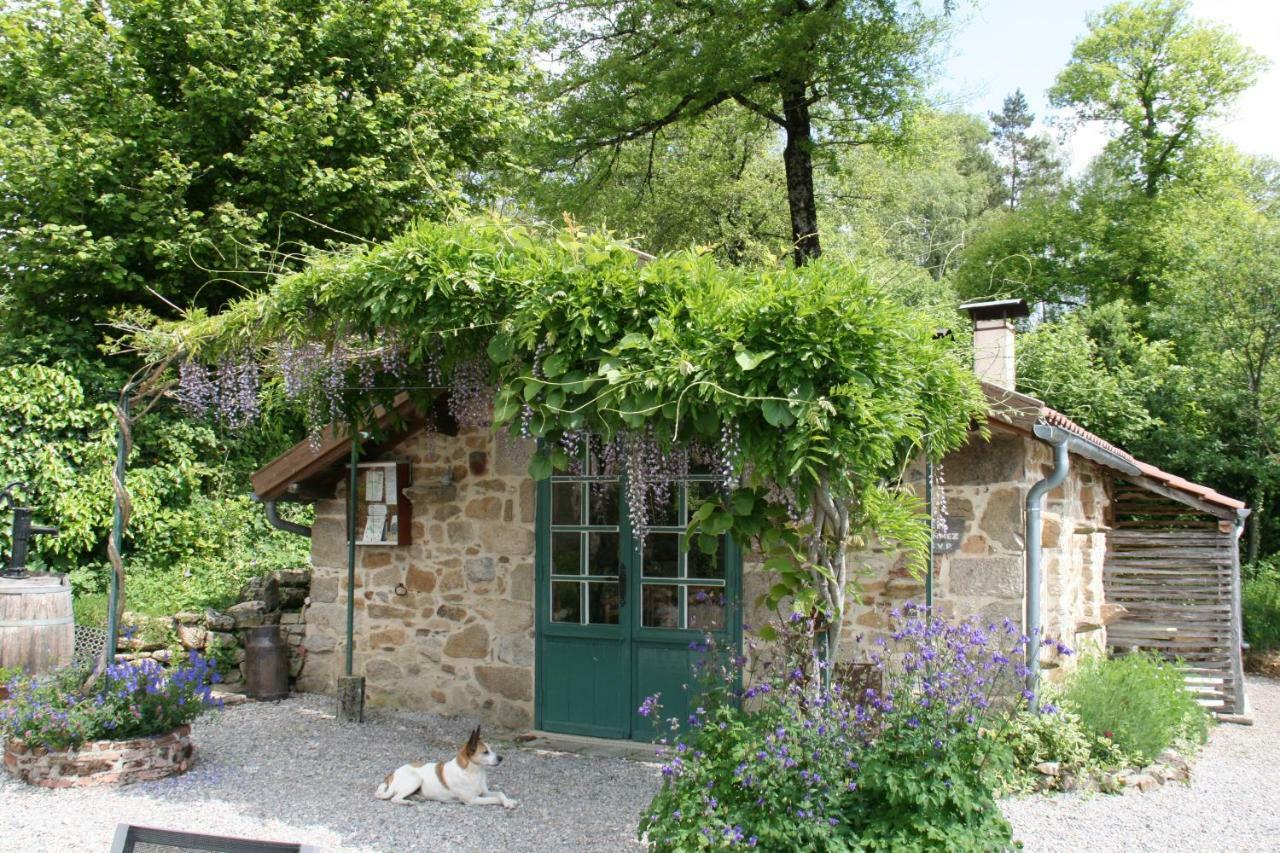 Bed and Breakfast Domaine Les Teuilleres Lacam-dʼOurcet Exterior foto